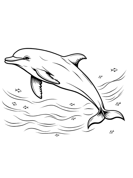 Mieszkańcy oceanów - Delfin