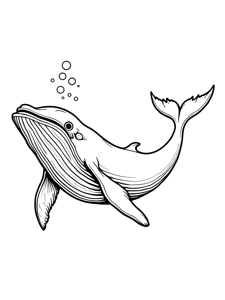 Mieszkańcy oceanów - Błękitny wieloryb