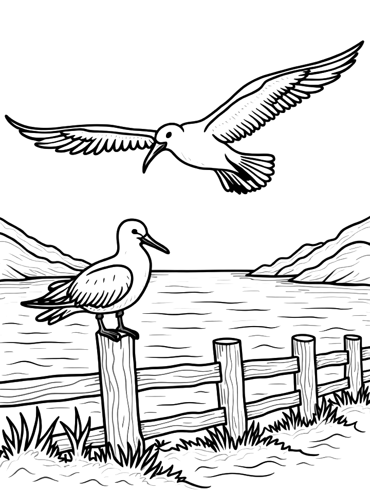 Zwierzęta egzotyczne - Albatros