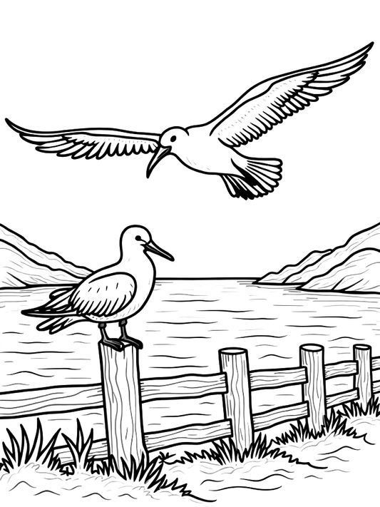 Zwierzęta egzotyczne - Albatros
