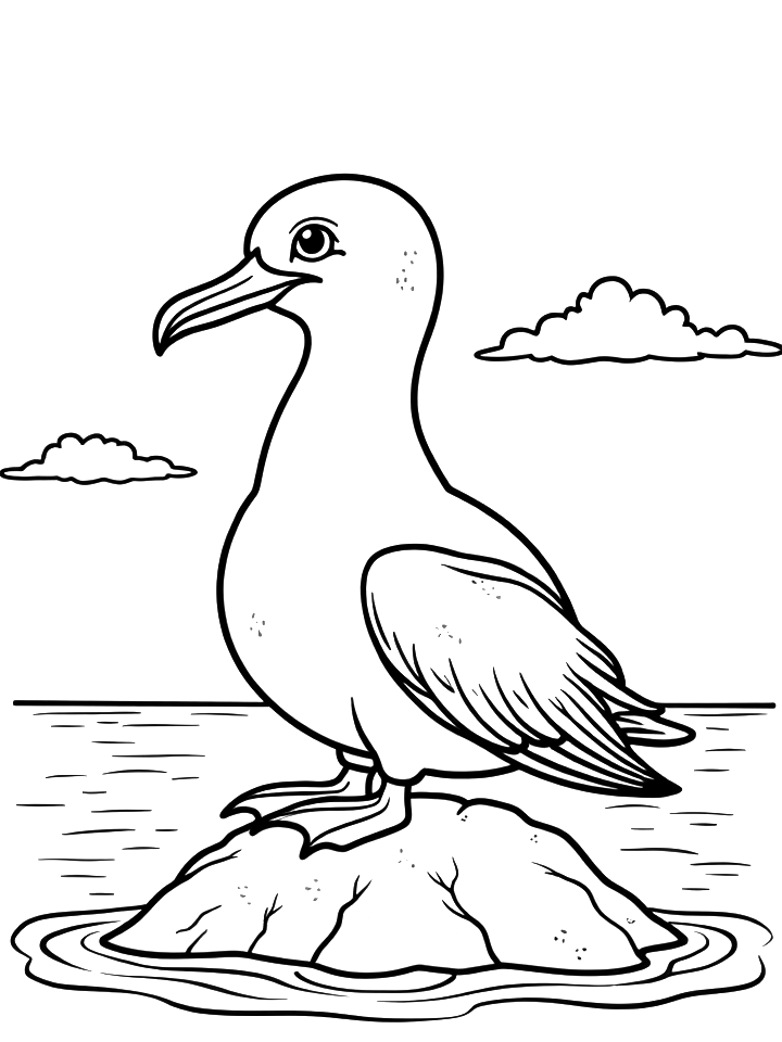 Zwierzęta egzotyczne - Albatros