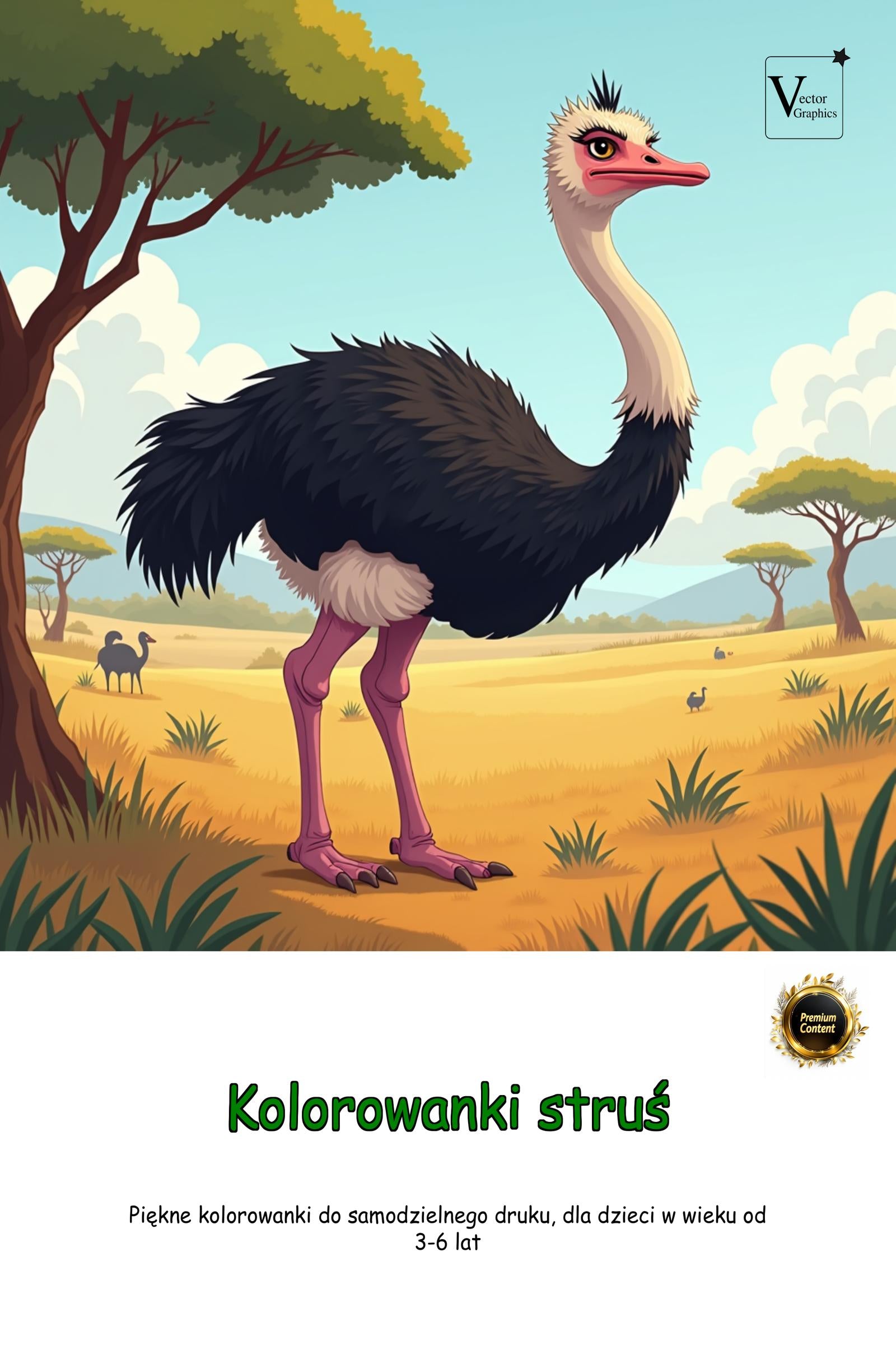 Zdjęcie główne