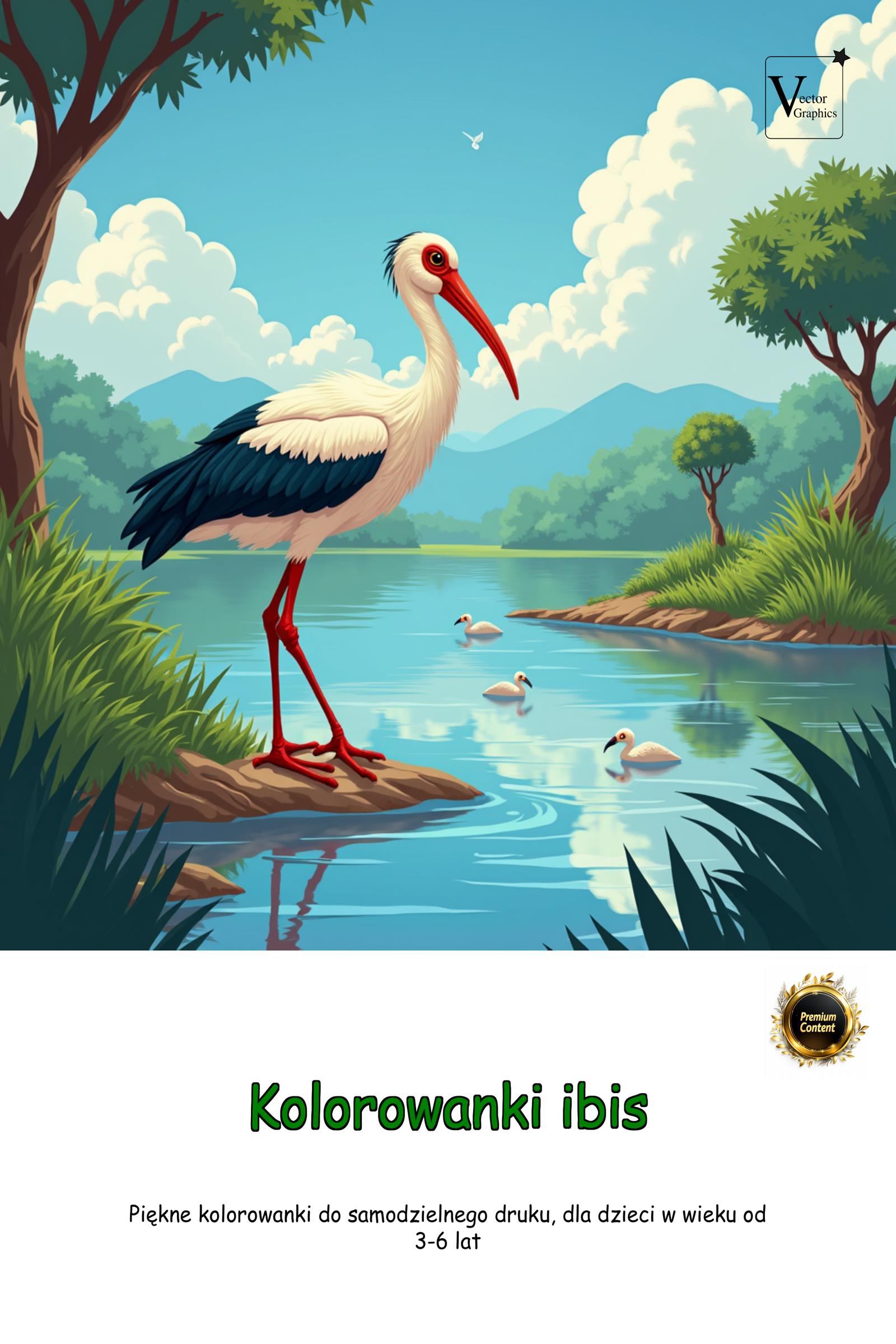 Zdjęcie główne